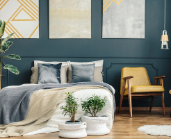 Plasma Membrane and Cell Wall 