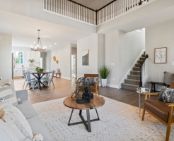 zonasha alpha building