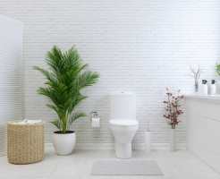 toilet in the north west corner 