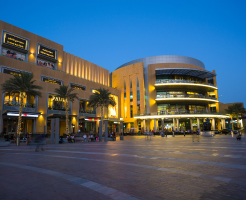 biggest home in the world