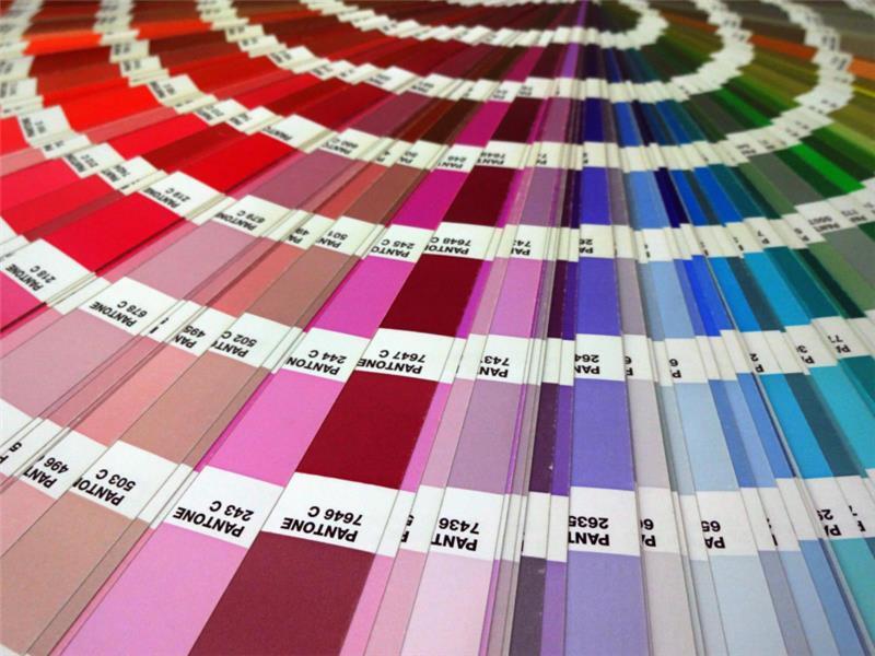 physical paint samples